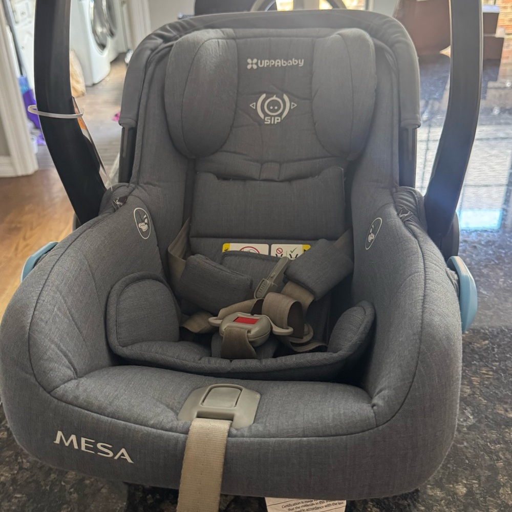 UPPAbaby MESA Infant Car Seat - Gray